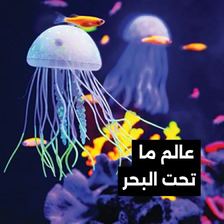 Image description
